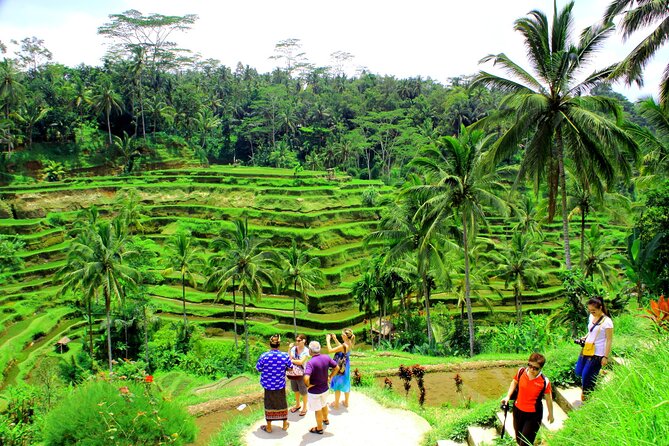 ATV Quad Bike with Kintamani Volcano Tour - All Inclusive - Your ATV ride: what 2 hours and 9 km feels like