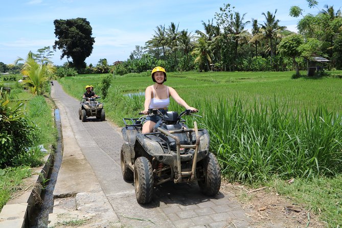ATV Tour with Monkey Forest Experience in Bali - Bongkasa to the tracks: rice fields, jungle routes, and real Bali countryside