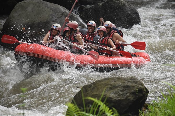 Ayung Rafting Ubud (Include Lunch & Return Transportation) - Key highlights worth booking for