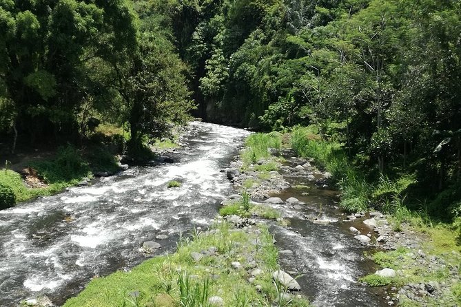 Ayung Rafting Ubud (Include Lunch & Return Transportation) - What you should bring (and what you can skip)