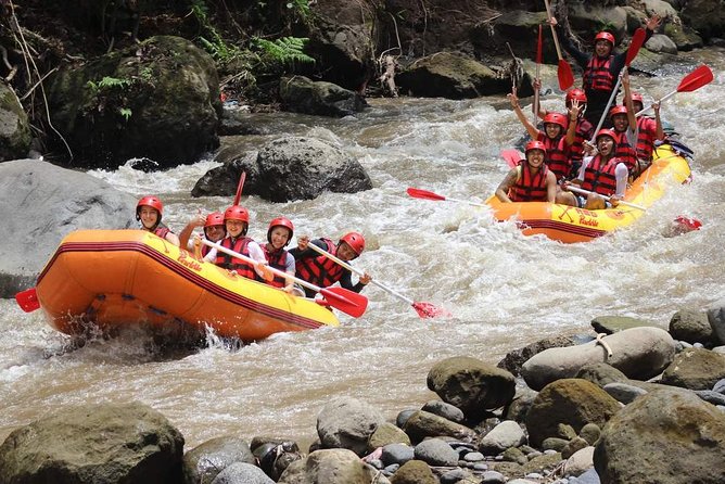 Ayung River - White Water Rafting Bali - Ayung River Grade II to III Rapids: What the Experience Feels Like