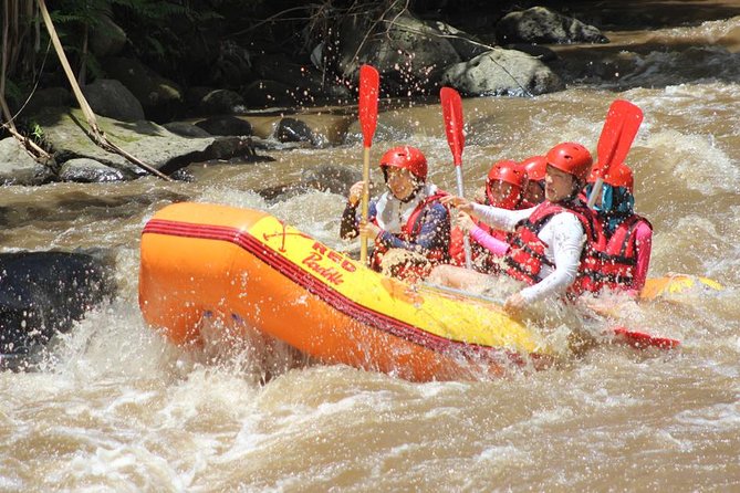 Ayung River - White Water Rafting Bali - Those Steps to the River: Plan for the Walk Down and Up