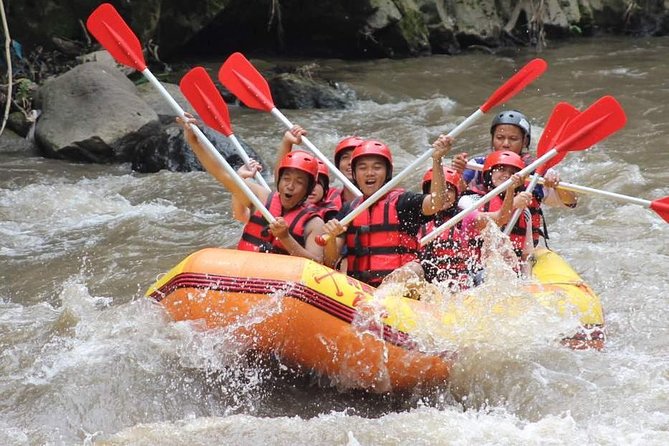 Ayung River - White Water Rafting Bali - Scenery Notes: Ramayana Cliff Carvings, Waterfalls, and River Views