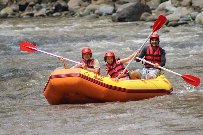 Ayung River - White Water Rafting Bali - Getting There Without Stress: Pickup From Ubud and South Bali