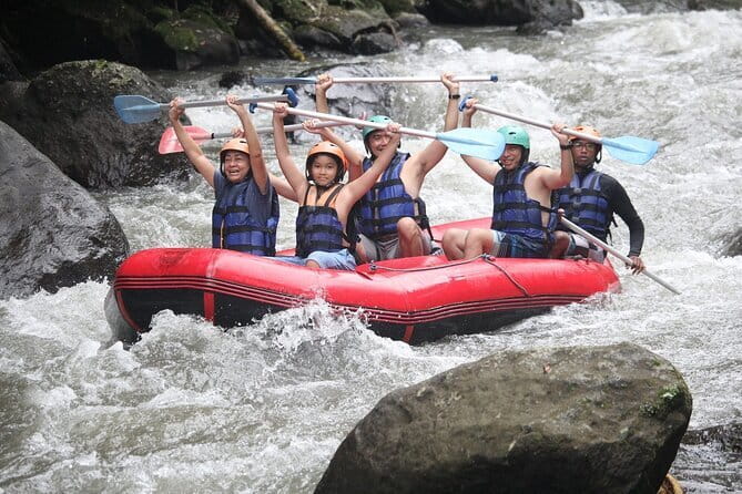 Ayung White Water Rafting and Bali ATV Ride Packages - What You See on the Raft, From Rice Fields to Wildlife