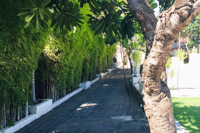 Backlanes and Hidden Sites: A Self-Guided Audio Tour in Seminyak - Property laws made visible: abandoned villas and vacant lots