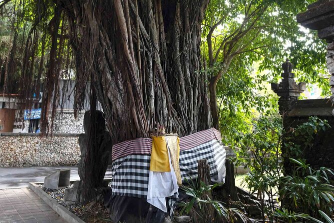 Backlanes and Hidden Sites: A Self-Guided Audio Tour in Seminyak - Local shops and Kim Soo’s Homewares