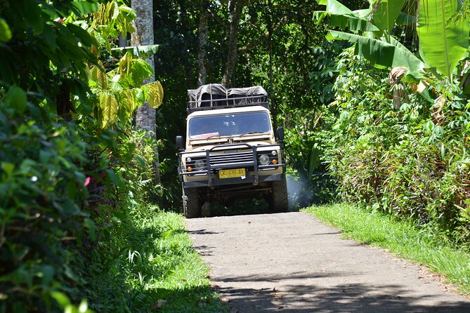 Bali 4WD Adventure WakaLand UNESCO Jatiluwih Trip in Bali Outback - Batukaru Temple and Mount Batukaru Views