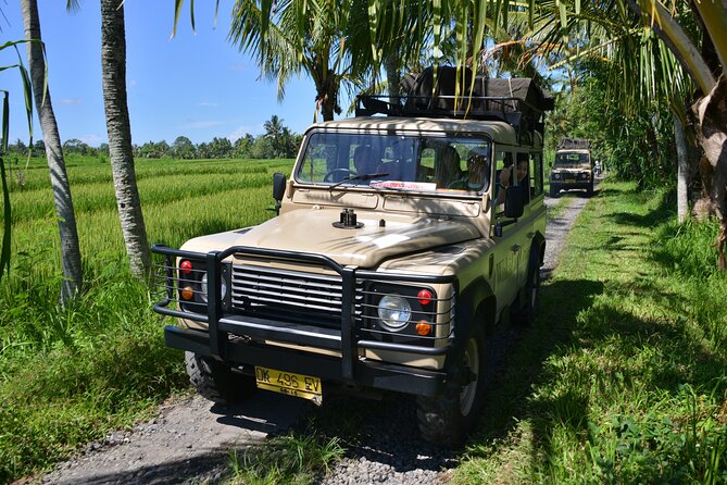 Bali 4WD Adventure WakaLand UNESCO Jatiluwih Trip in Bali Outback - Hot Mineral Baths: The After-Drive Reset