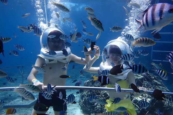 Bali Activity: Bali Sea Walking in Nusa Dua Ocean - Where Bali Sea Walking Actually Happens at Nusa Dua