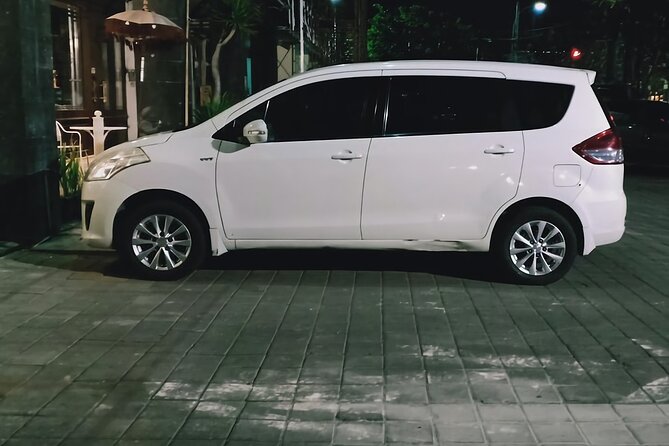 Bali Airport to/from Sanur, Nusa Dua, Jimbaran and Uluwatu - Luggage, pets, and special requests that you should plan for