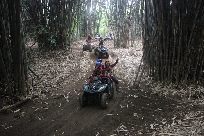 Bali All Inclusive : Tlaga Singha Infinity Pool & Atv Adventure - Timing and Pace: How This Fits Into Your Ubud Day