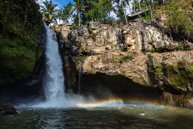 Bali All-Inclusive: Ubud Tour with Entrance Ticket and Lunch Included - Price and value: what $66.97 covers in practice