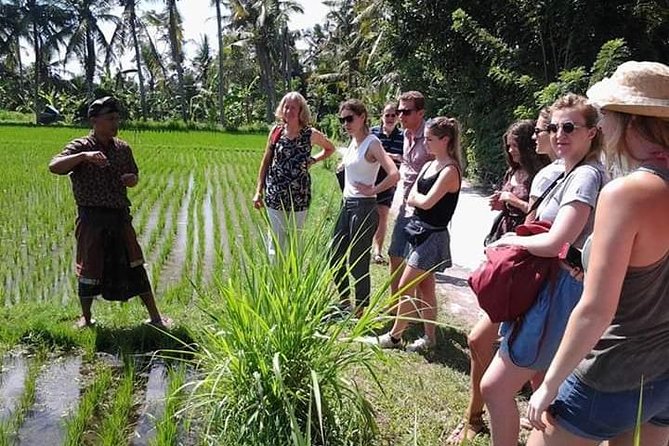 Bali Amazing Cooking Class - The Cooking Part: Hands-On Learning, Not a Demo Show