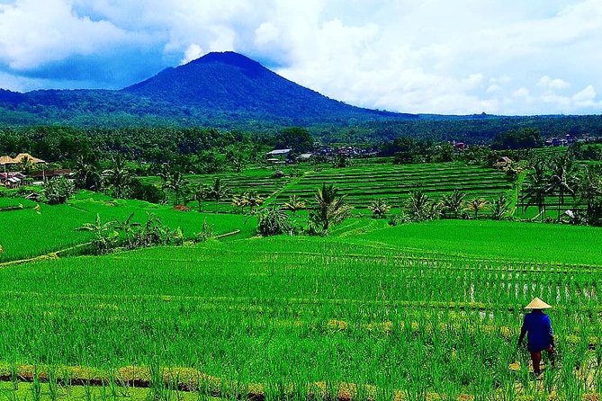 Bali Ancient Temples Tour - Taman Ayun Temple: a 1600s royal temple in calm gardens