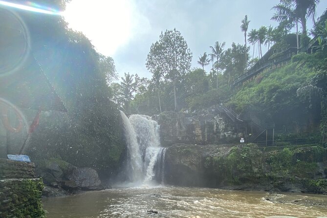 Bali Arts shopping with temples-waterfall visit. - Price and value: is $40 fair for this mix of sites?