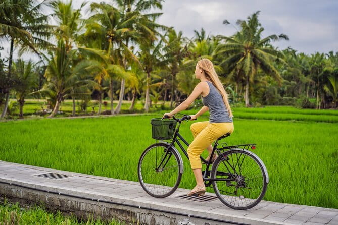 Bali ATV Bike Cave and waterfall with hotel Pick Up And Lunch - Waterfall stop: the cooling break you’ll be glad you planned for
