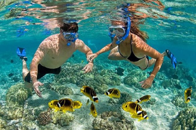 Bali ATV Blue Lagoon Snorkeling Private Guided Tour Free WiFi - Blue Lagoon snorkeling: training, fish feeding, and reef time