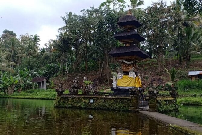 Bali ATV Combined with Mumbul Lake And Sangeh Monkey Forest - Stop 3, Sangeh Monkey Forest: Wildlife Time With Clear Rules