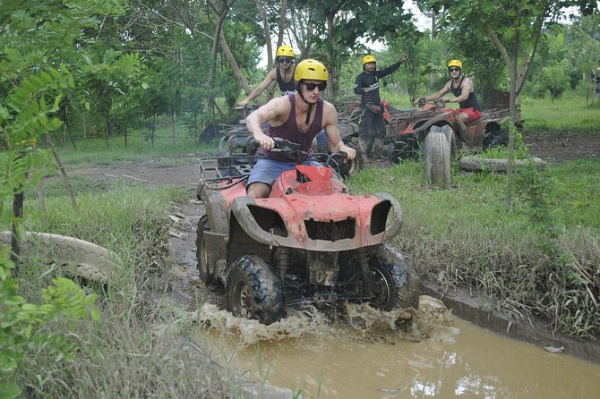 Bali ATV Combined with Mumbul Lake And Sangeh Monkey Forest - Price and What You Actually Get for Around $53