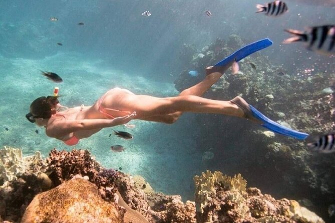 Bali ATV Quad Bike Adventure and Snorkeling Tour - Who Should Book This Tour, and Who Should Skip It