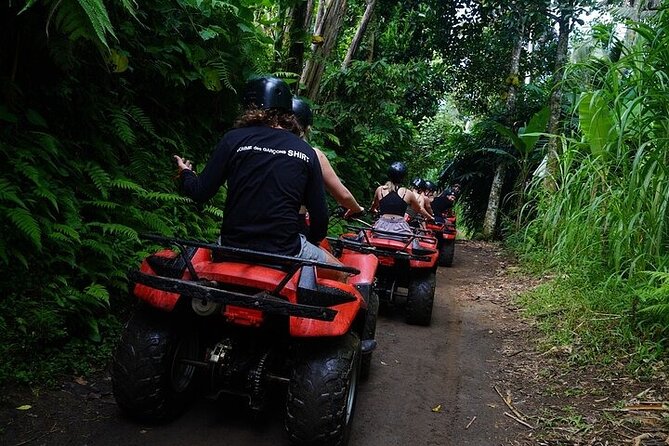 Bali ATV Quad Bike Adventure with Gorilla Cave Pass By Waterfall - Lunch and Comfort Stops That Keep the Day From Draining You