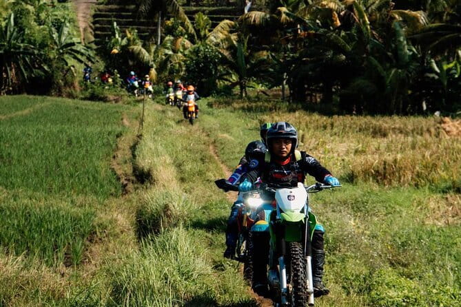 Bali ATV Quad Bike Ubud Swing & Monkey Forest All Inclusive - The Sacred Monkey Forest: close encounters with long-tailed monkeys
