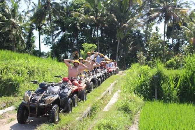 Bali ATV Quad Bike with Monkey Forest and Tegenungan Waterfall - Stop 3: Sangeh Monkey Forest and Hindu temple scenery