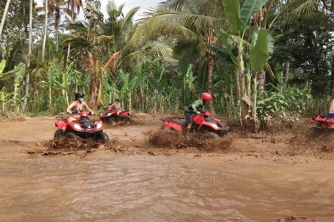 Bali ATV Quadbike Through Gorilla Face Cave - Your 90-minute route through rice fields, jungle, and rivers