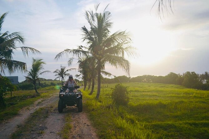Bali ATV Ride On the Beach, Rice Field and Village Tour 2 Hour - What the rating tells you, and how to match your expectations