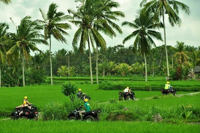 Bali ATV Ride waterfall jungle and rice fild track ubud - Price and value: $39.99 per person for a half-day