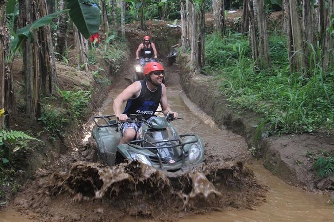 Bali ATV Ride with Jungle Swing and Rice Terrace Tour - Price and logistics: what $89.52 buys you in Ubud
