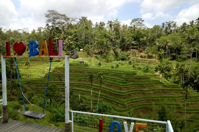 Bali ATV Ride with Jungle Swing and Rice Terrace Tour - Who this tour fits best (and who should skip it)