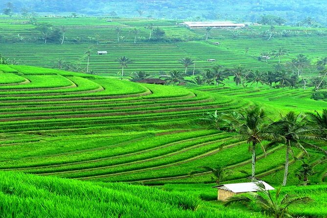 Bali: Bedugul Lake Temple, Banyumala Waterfall, UNESCO Rice Field - Price and Value: What $30 Buys (and What Might Cost Extra)
