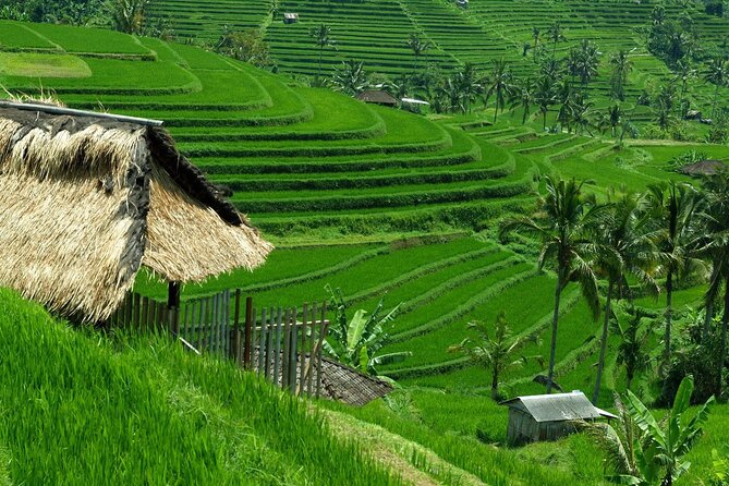 Bali: Bedugul Lake Temple, Banyumala Waterfall, UNESCO Rice Field - Stop 2: Banyumala Waterfall Walk and the Twin-Water Feeling