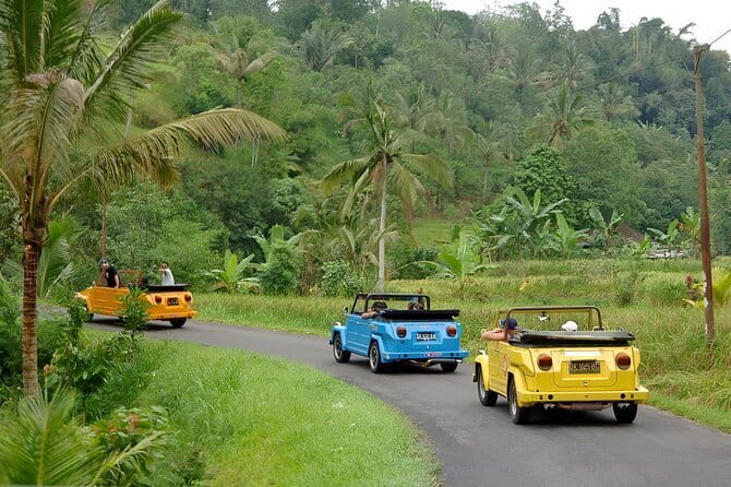 Bali: Bedugul Temple, Banyumala Waterfall, UNESCO Rice Terrace - What to bring for a smooth mountain to waterfall to terraces day