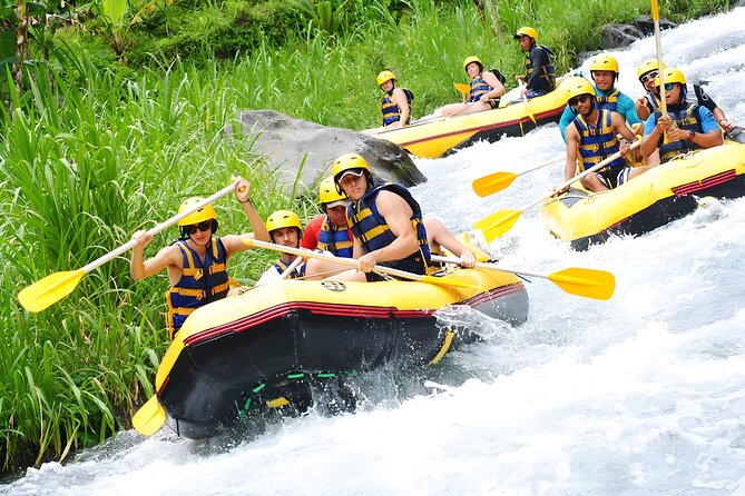 Bali Best-Activities: Telaga Waja Rafting Adventure - Key highlights at a glance