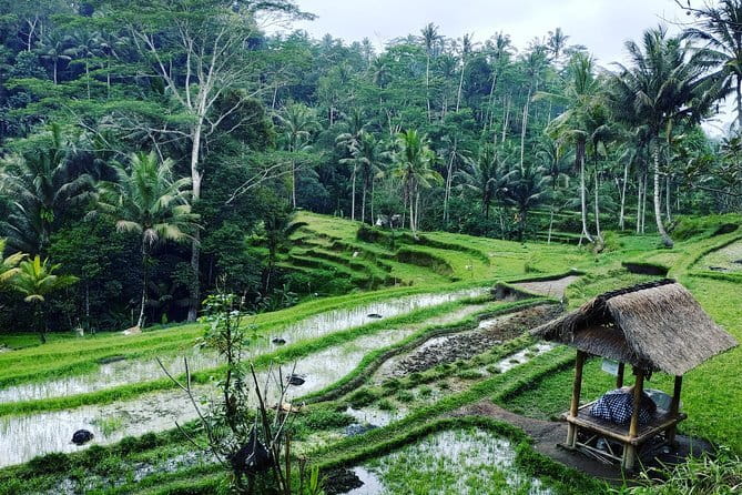 Bali: Best Eastern Waterfalls with Private Bali Tours - Before You Go: A Simple Packing and Day Plan for an 8:00 am Start
