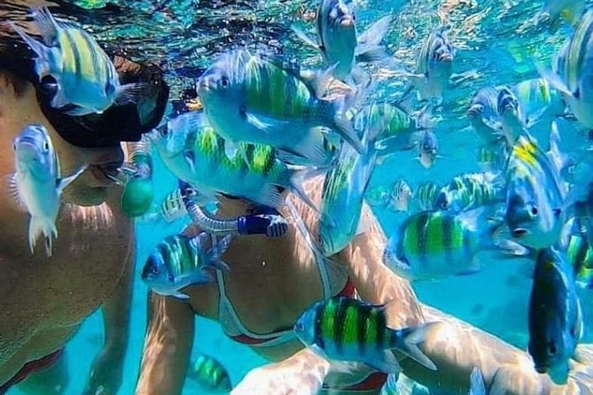 Bali Best Snorkeling at Blue Lagoon - Key highlights to know before you go