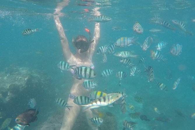 Bali Best Snorkeling at Blue Lagoon - Tanjung Jepun: the second snorkel stop for more chances