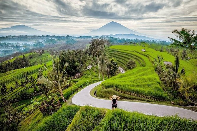 Bali BEST Things to Do Private Full-day Tour from Your Hotel - Rice Terraces at Tegalalang: The Walk That Makes the Day Feel Real