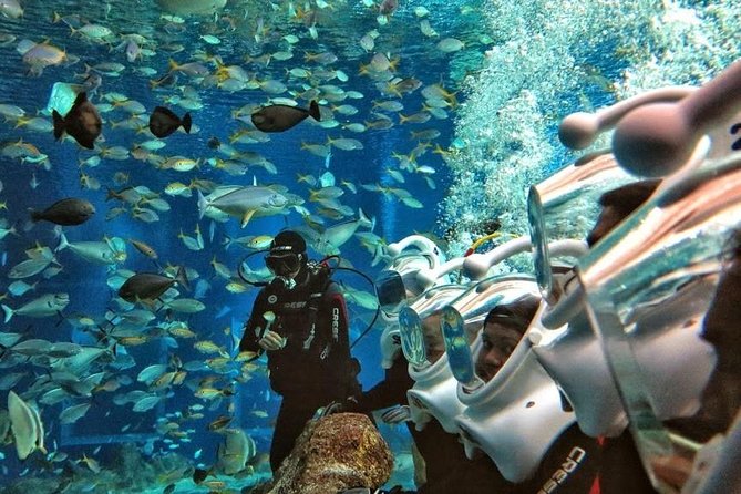 Bali Best Watersport Sea walker,Parasailing adventure,Jet sky - The Trip From Ubud to Tanjung Benoa, Plus the Pace of the Day