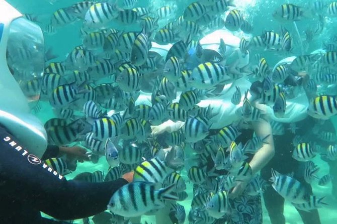 Bali Best Watersport Sea walker,Parasailing adventure,Jet sky - Jet Ski: A Fast 15-Minute Ride and How to Enjoy It
