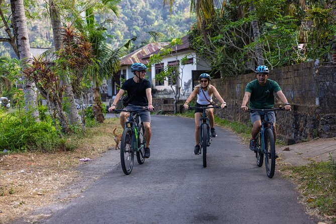 Bali Bike Tour Ubud Area - Key highlights you should care about