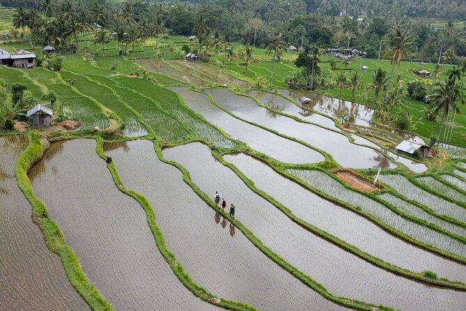 Bali Bike Tour Ubud Area - Bongkasa cycling and lunch in a family house