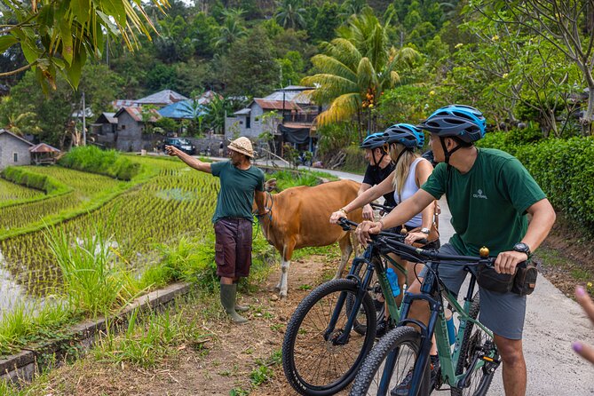 Bali Bike Tour Ubud Area - Price and value: what $67.28 covers in real terms