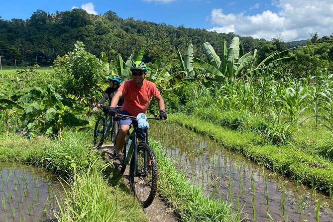 Bali Bike Tour Ubud Area - Ubud on two wheels: rice fields, lanes, and a family compound