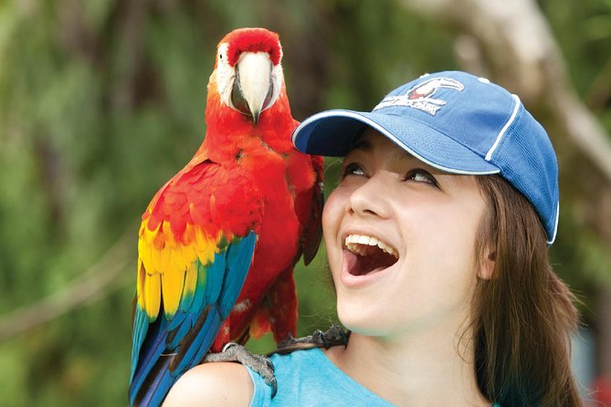 Bali Bird Park Admission Ticket - Bali Bird Park Admission: what your ticket actually gets you