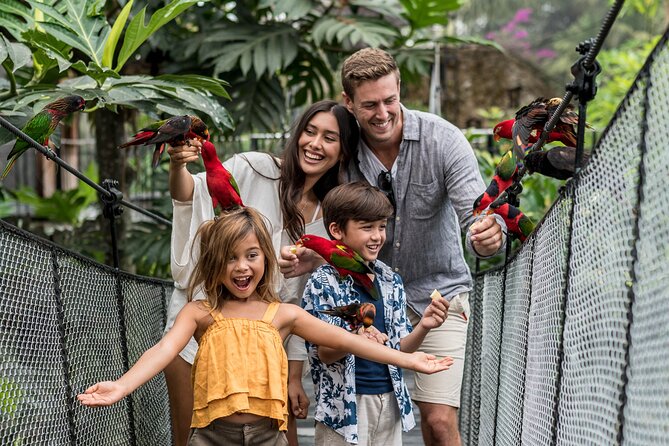 Bali Bird Park Admission Ticket - More than 1,300 birds: how the park layout changes what you see