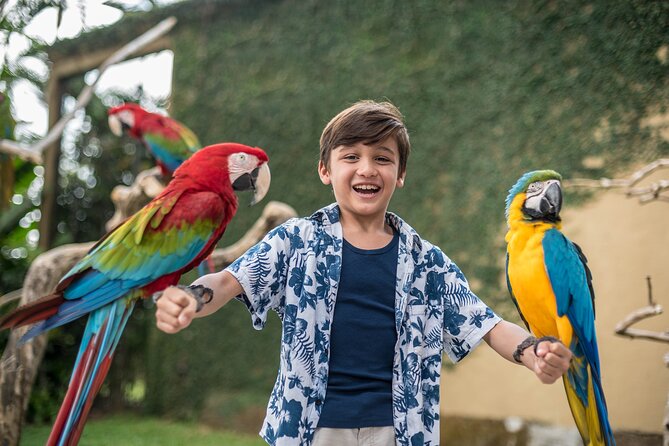 Bali Bird Park Admission Ticket - Feeding sessions and close encounters, from lorikeets to baby birds